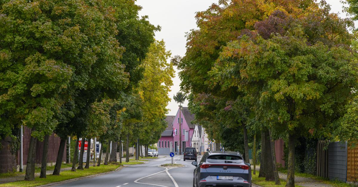 Wann Beginnt Sanierung Der Ortsdurchfahrt Leeheim?